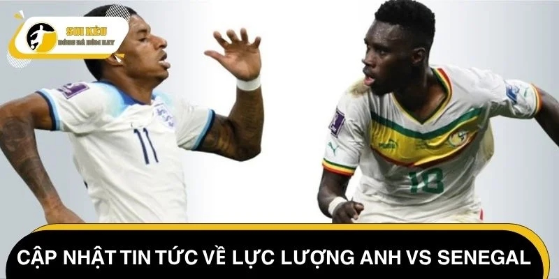 Cập nhật tin tức về lực lượng Anh vs Senegal