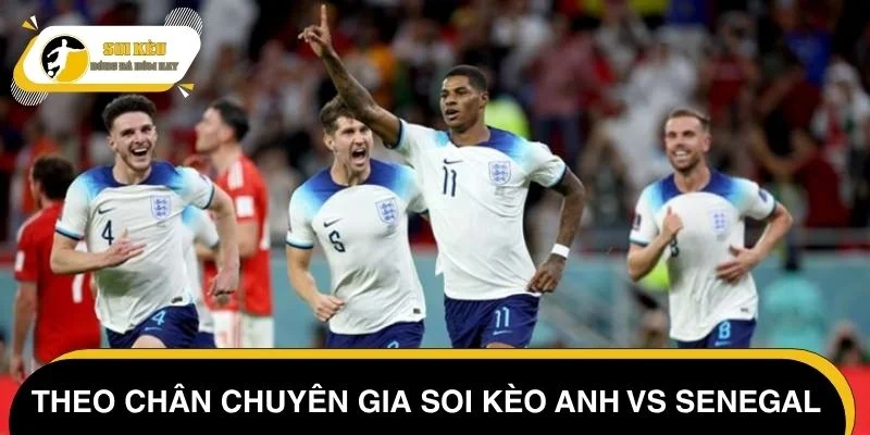 Theo chân chuyên gia soi kèo Anh vs Senegal chi tiết