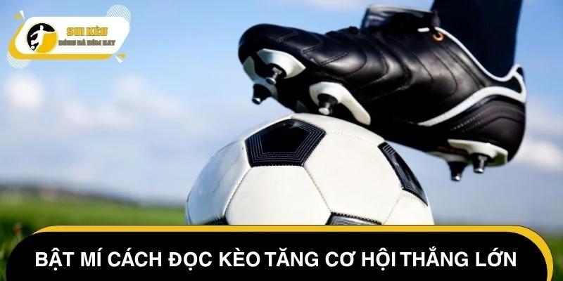 Bật mí cách đọc kèo châu Âu mở ra cơ hội thắng lớn