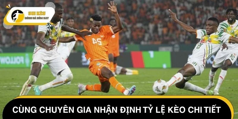 Cùng chuyên gia nhận định tỷ lệ kèo Canada vs Côte d'Ivoire chi tiết
