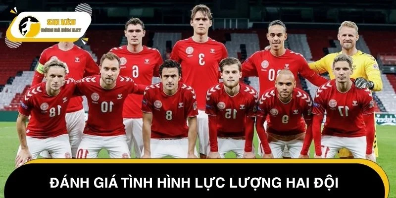 Đánh giá tình hình lực lượng Đan Mạch vs Lithuania