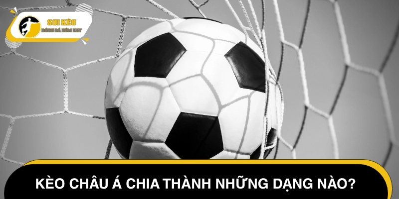 Phân loại kèo Asian Handicap thường gặp