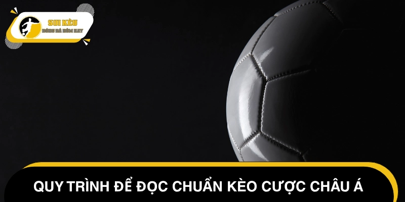 Hướng dẫn từng bước đọc kèo châu Á dễ hiểu cho tân thủ