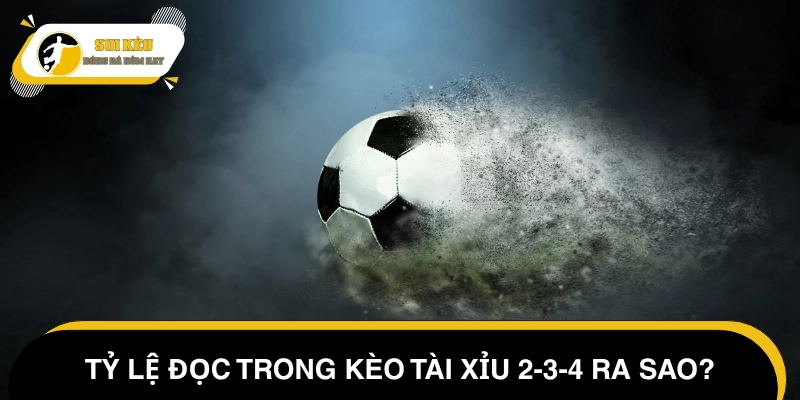 Hướng dẫn đọc kèo Tài Xỉu 2-3-4 cơ bản cho người mới