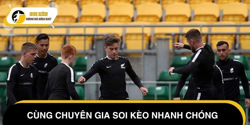 Cùng chuyên gia soi kèo New Zealand vs Ukraine nhanh chóng