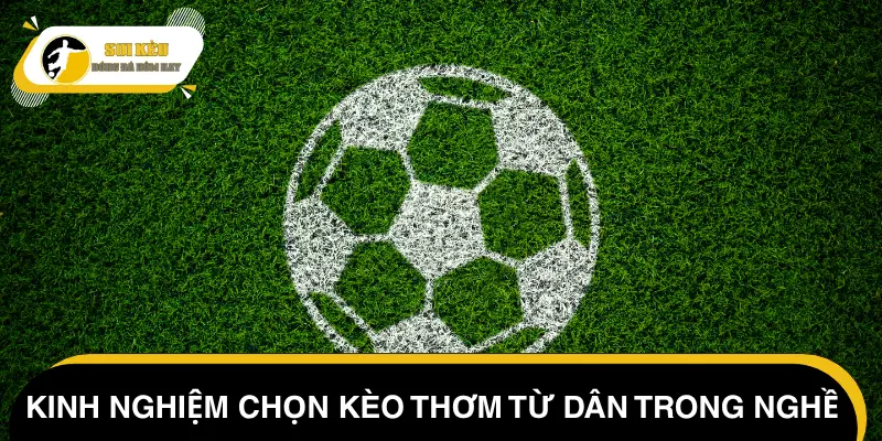 Mẹo nhận định kèo thơm hiệu quả theo góc nhìn chuyên gia
