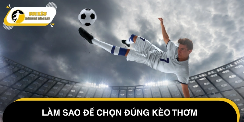 Bí quyết chọn kèo thơm thần tốc cho người mới