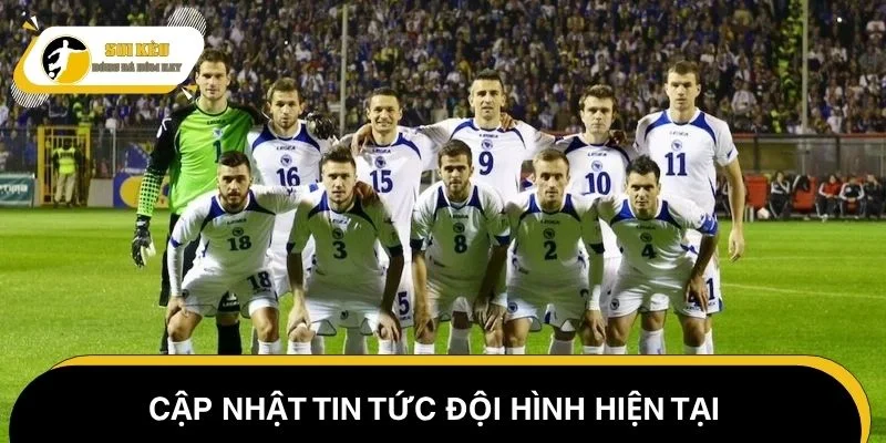 Cập nhật tin tức đội hình Slovenia vs Bosnia-Herzegovina