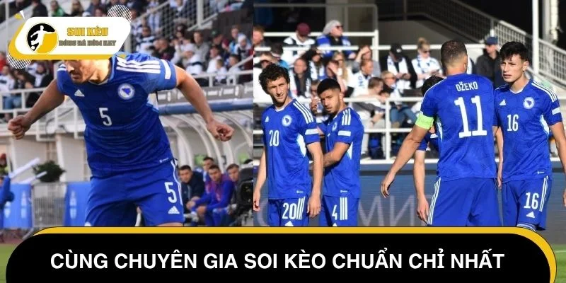 Cùng chuyên gia soi kèo Slovenia vs Bosnia-Herzegovina chi tiết