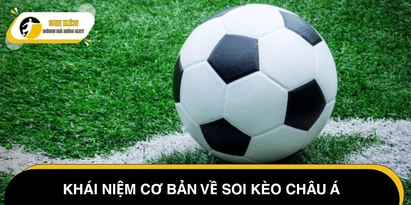 Khái quát sơ lược về tỷ lệ châu Á