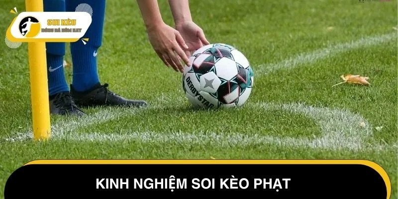 Kinh nghiệm soi luôn mang lại kết quả cao