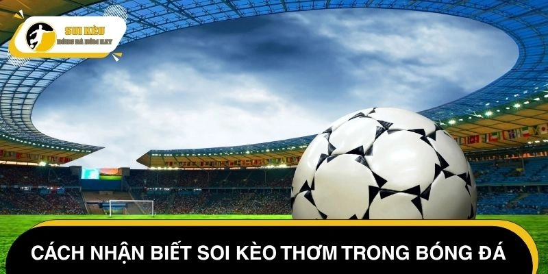 Cách nhận biết kèo thơm thường gặp