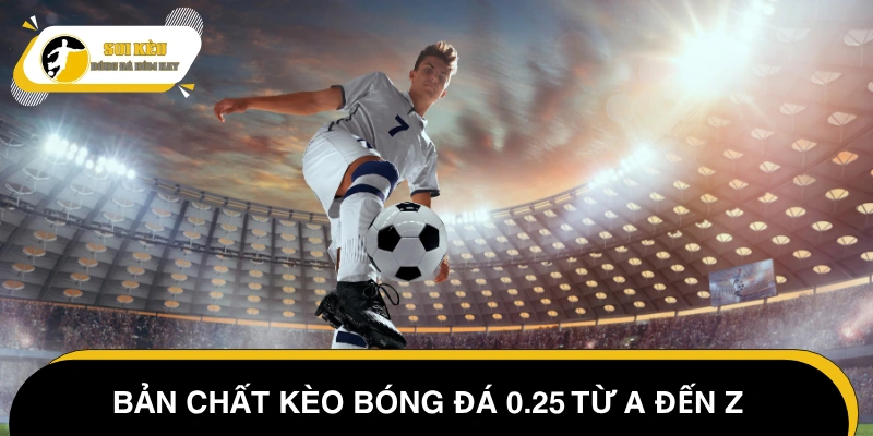 Tìm hiểu về soi kèo túc cầu 0.25 trong bóng đá