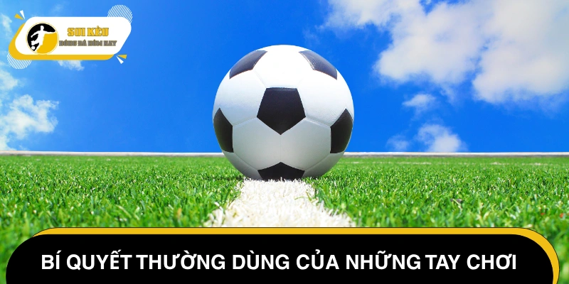 Mẹo soi cầu soi kèo túc cầu 0.25 từ chuyên gia có tiếng