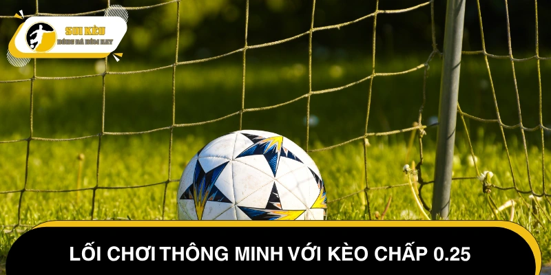 Cách bắt kèo châu Á 0.25 như dân chơi chuyên nghiệp