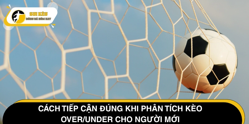 Các yếu tố cốt lõi cần nắm khi soi kèo Over/Under