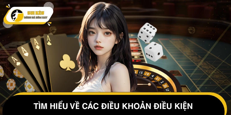 Đôi nét về chính sách điều khoản và điều kiện